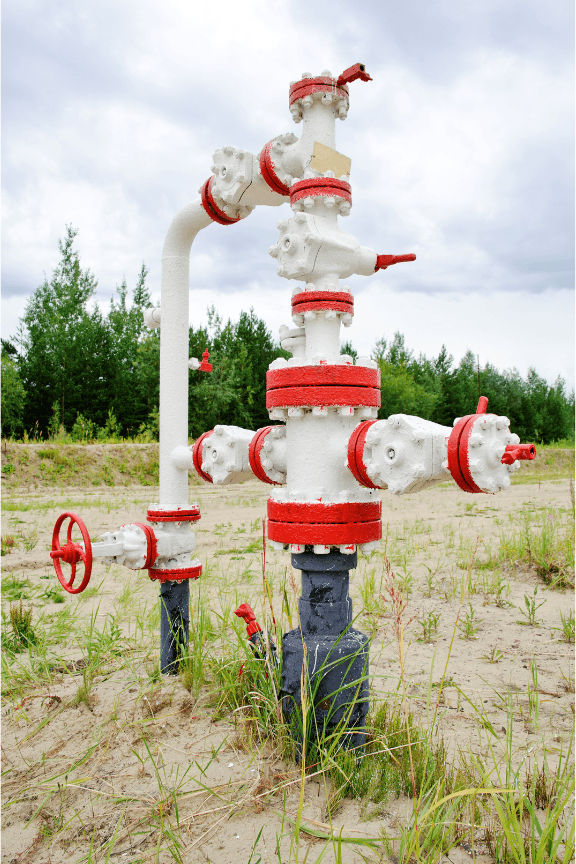 Reservoir Gas Storage
